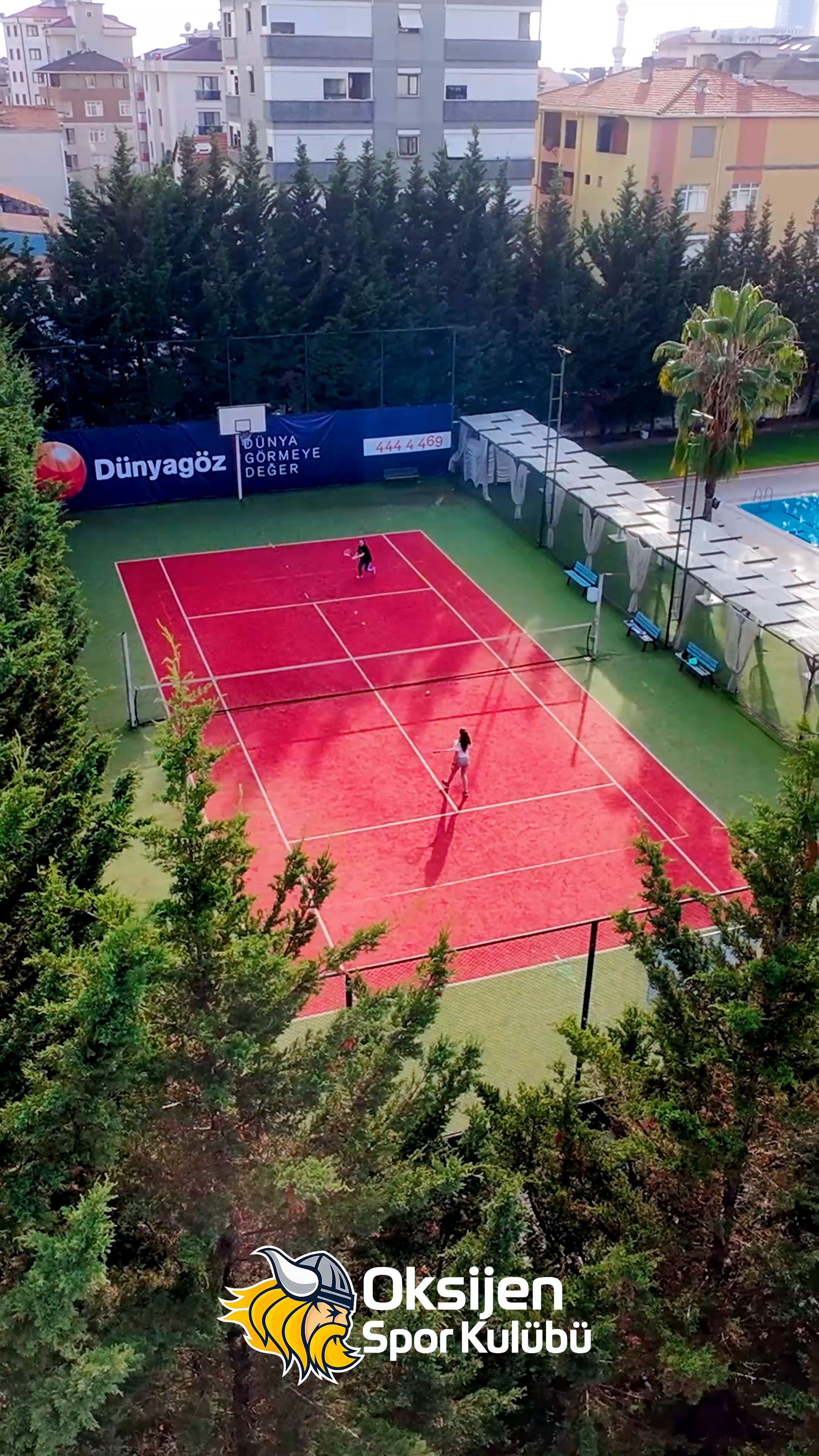 Tenis